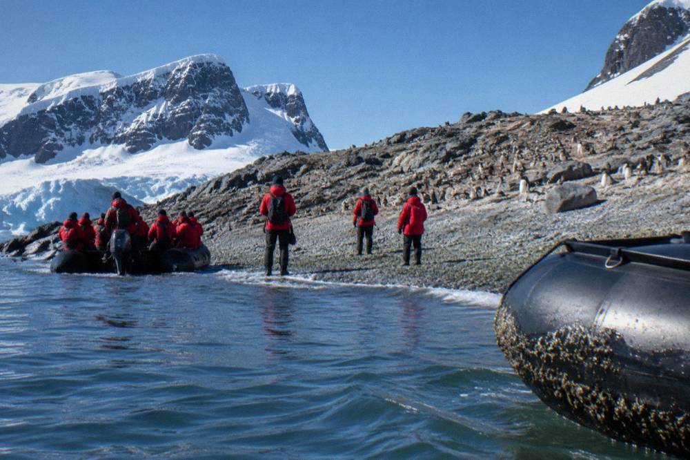 Zodiac boats approaching a snowy shoreline where expedition guests prepare to land
