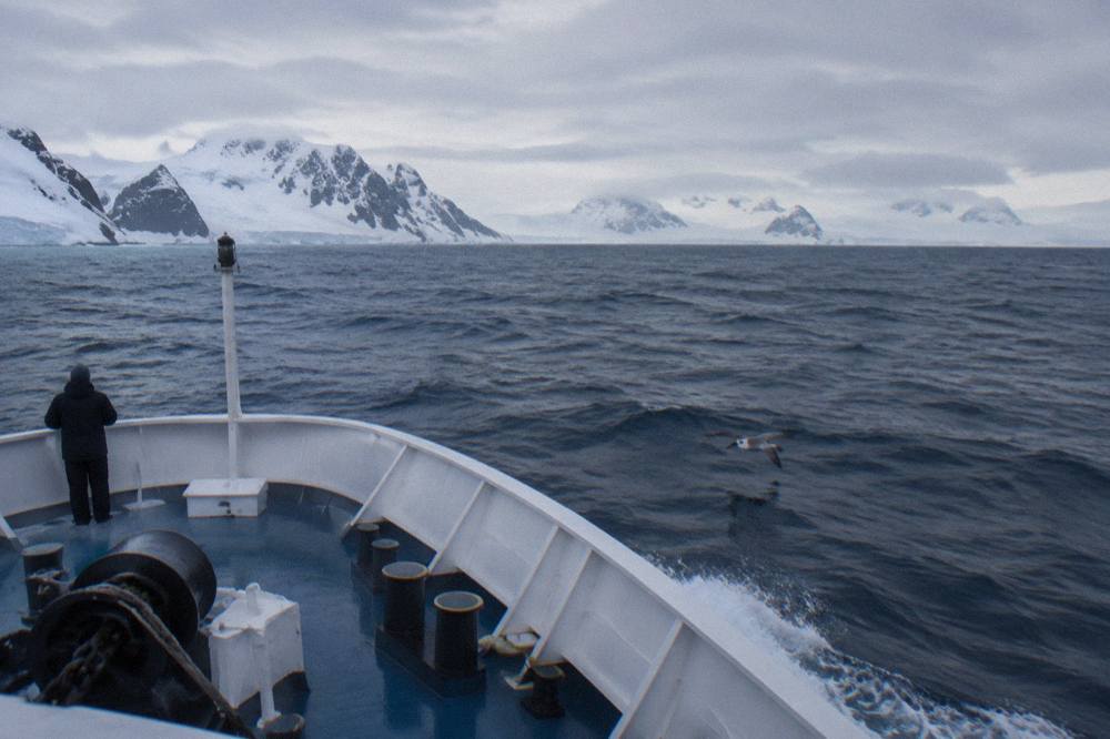 Expedition ship bow cutting through gentle swells on a calm Drake Passage crossing