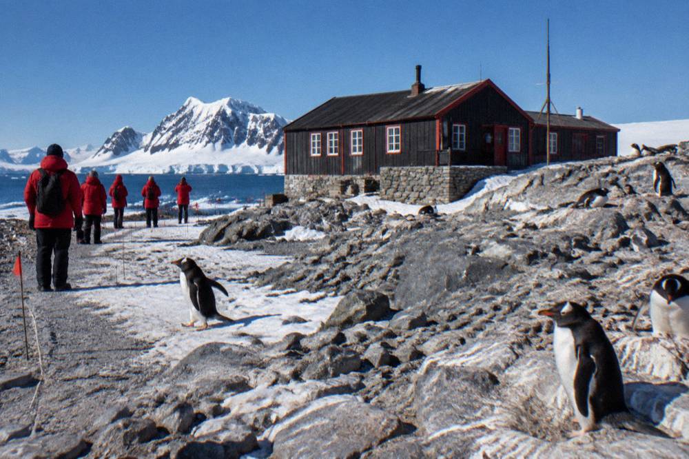 Passengers in red parkas watching penguins from a marked path on a rocky Antarctic beach
