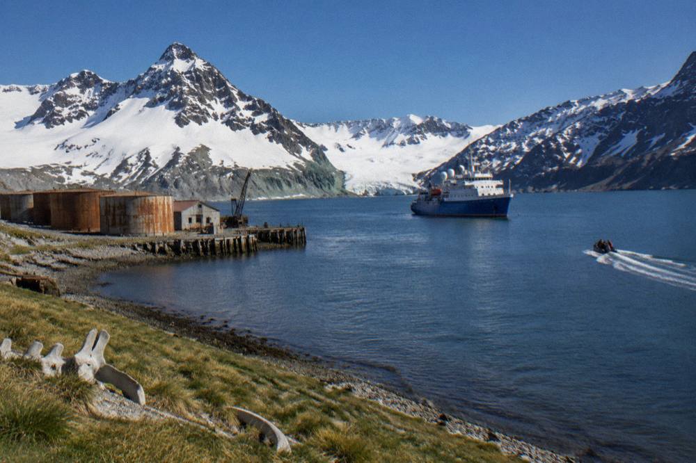 Expedition ship anchored off a snow covered mountain coastline in South Georgia