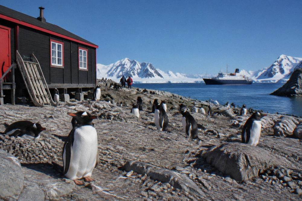 A penguin colony on a rocky shore with an expedition ship anchored in the distance