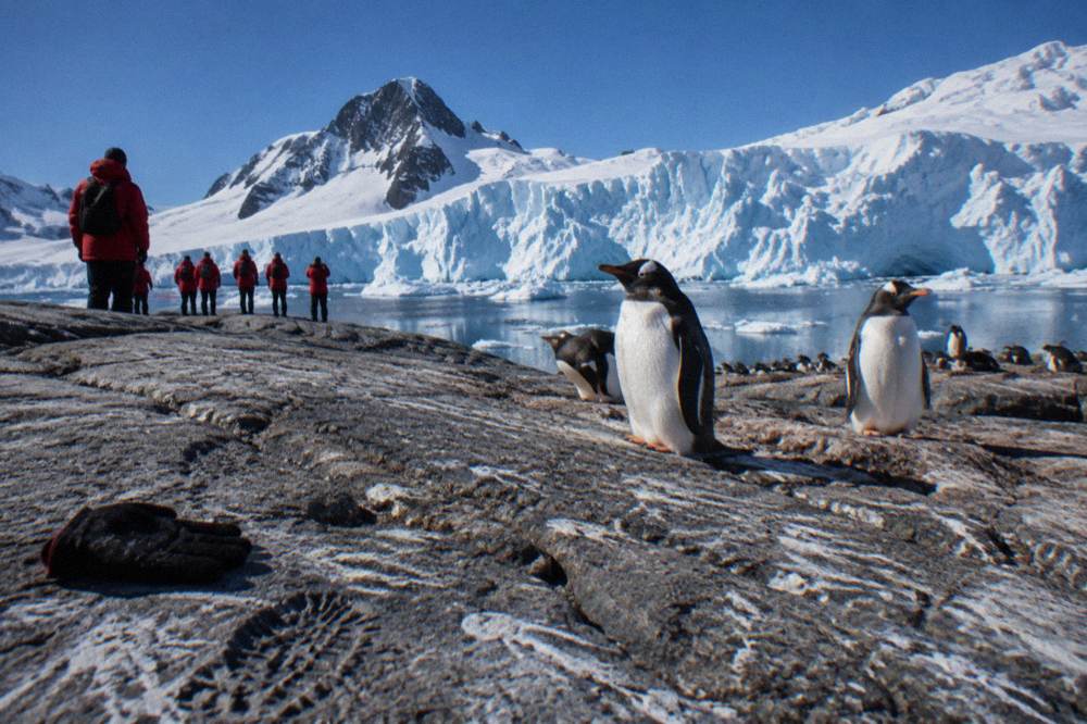 Passengers in red parkas watching penguins from a rocky Antarctic shoreline
