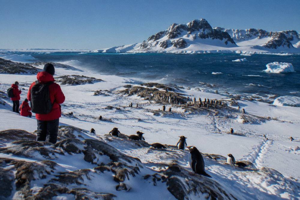 Passengers in red parkas standing on a snowy Antarctic beach watching penguins
