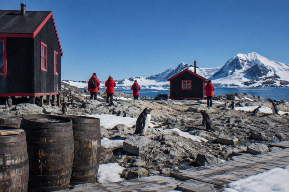 Passengers in red parkas watching penguins on a rocky Antarctic beach