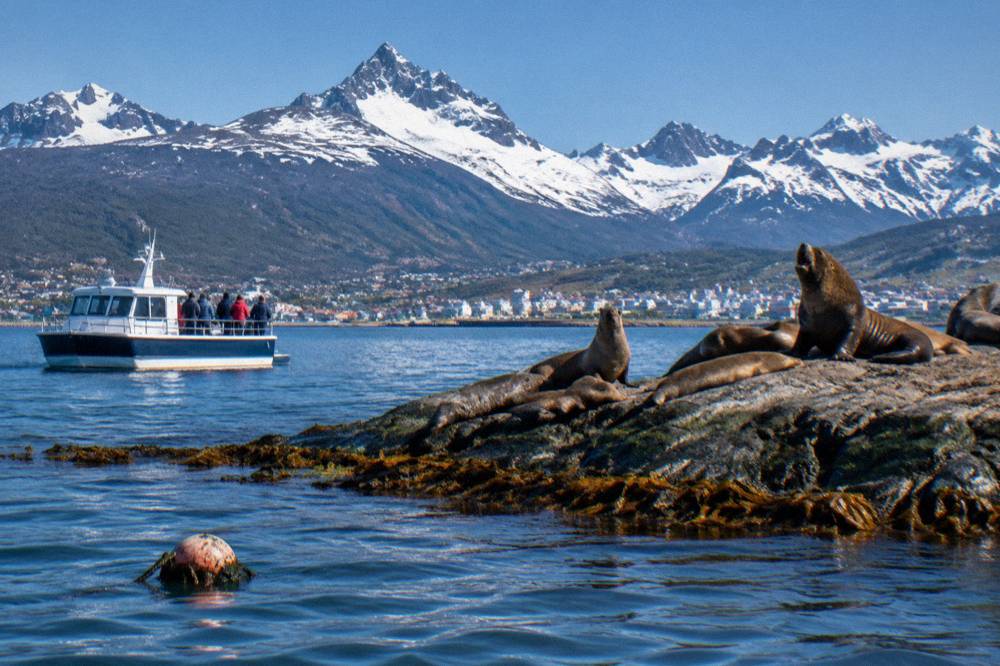 A small boat passing sea lions on rocks in the Beagle Channel near Ushuaia