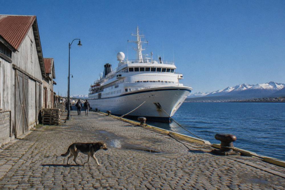 Cruise ship docked at a waterfront city on a calm grey day