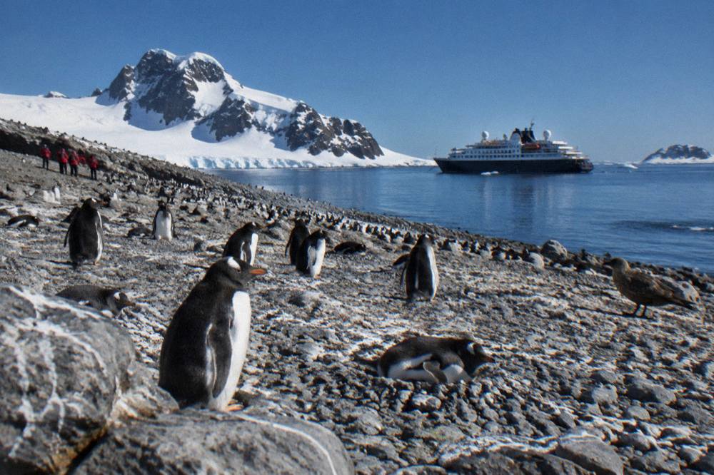 An expedition ship anchored among icebergs in a calm Antarctic bay