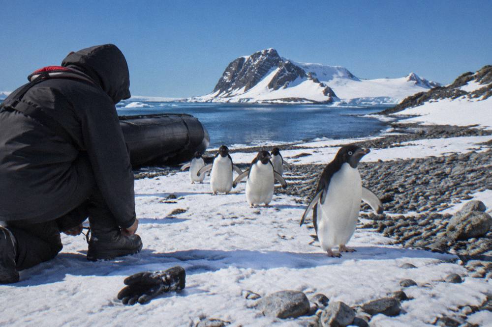 A traveller in a hooded parka standing at a Zodiac landing site surrounded by snow and penguins