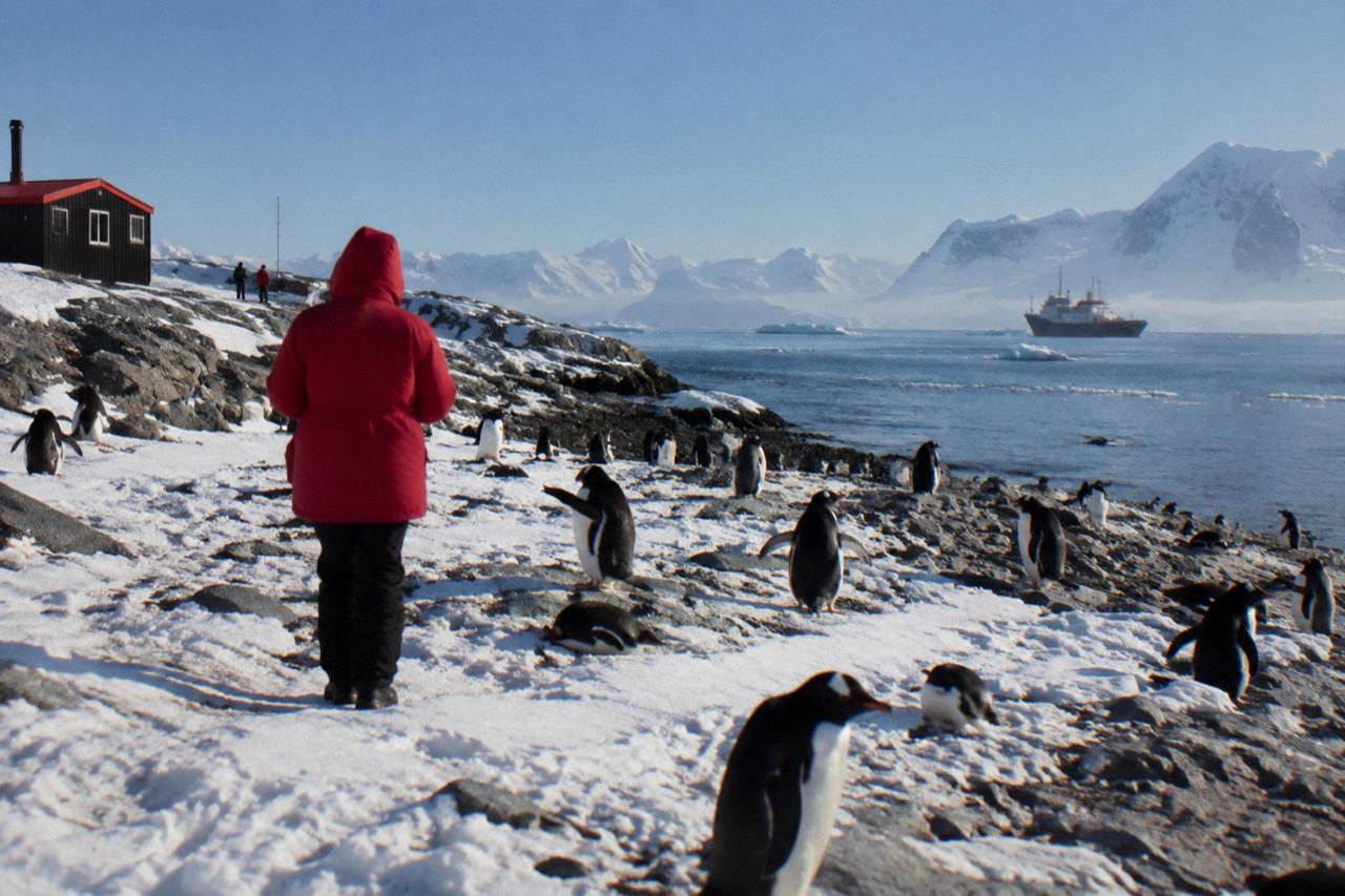 A red expedition parka zipped up against a snowy Antarctic shoreline with an anchored ship in the distance