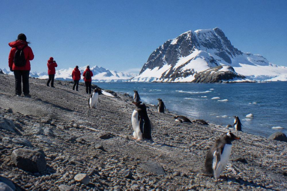 Expedition guests in red parkas standing at a distance from penguins on a snowy Antarctic beach