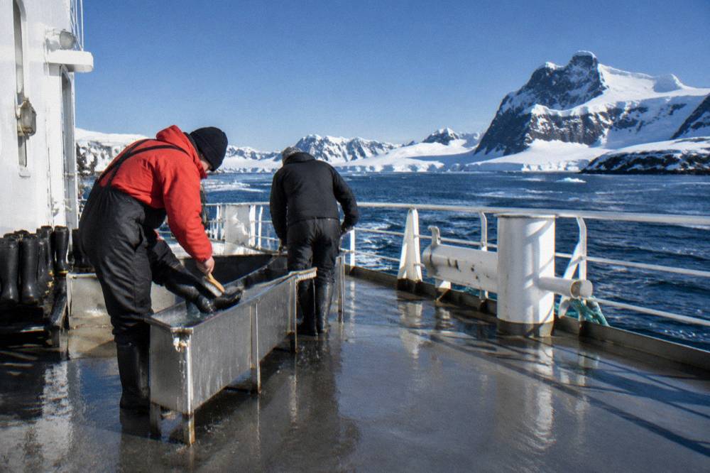 Expedition staff scrubbing boots in a disinfectant trough aboard a ship