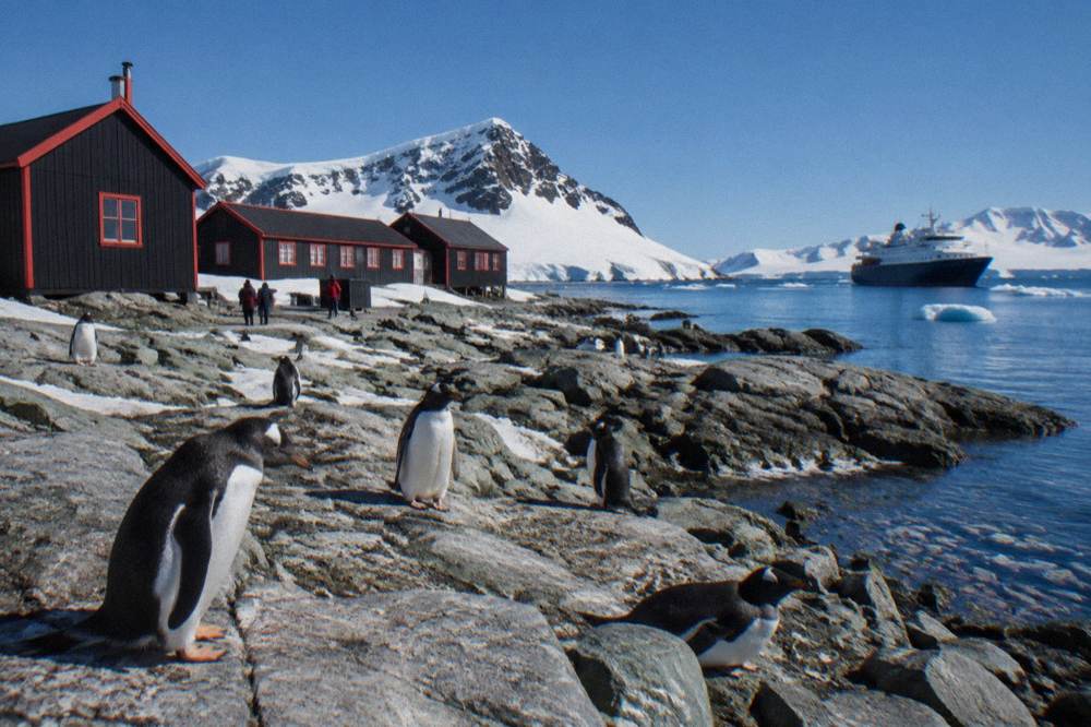 Gentoo penguins on a rocky Antarctic Peninsula shoreline with an expedition ship behind