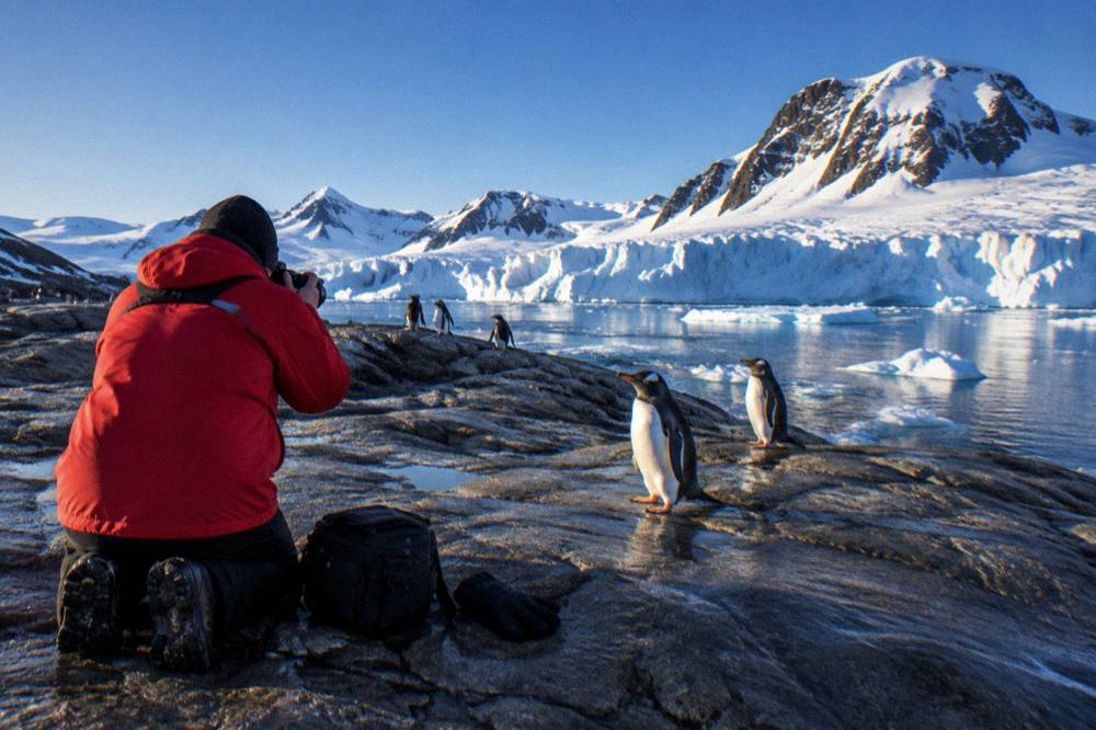 A traveller in a red parka photographing penguins from a rocky shore