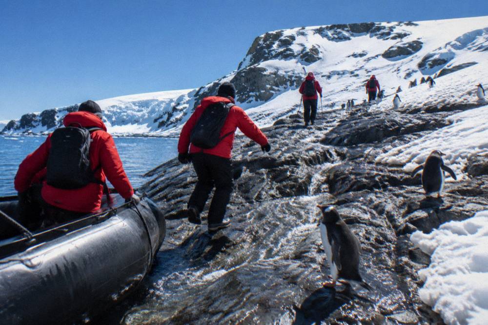 Passengers in red parkas walking a Zodiac landing site among penguins on a rocky Antarctic beach