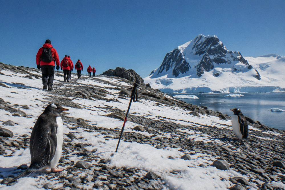 Passengers in red parkas walking slowly across a snowy shoreline near penguins