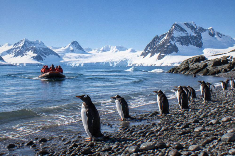 Inflatable boat approaching a rocky Antarctic shore where penguins stand along the waterline