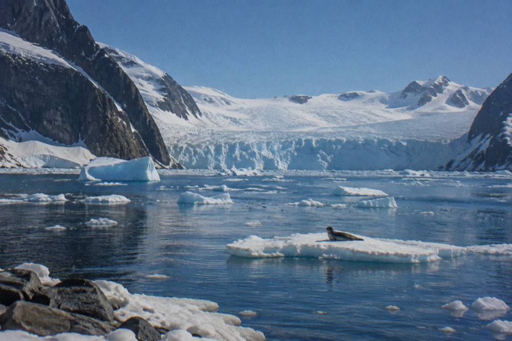 Glacier front and icebergs filling a calm Antarctic bay with steep mountain walls