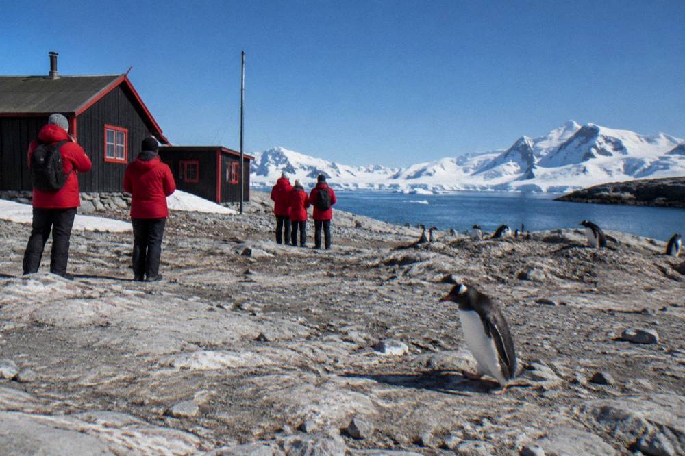 Visitors standing quietly at a marked distance from a penguin colony
