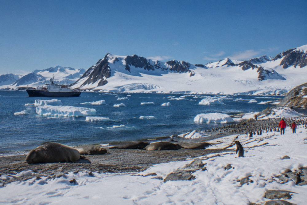 Expedition ship anchored near a snow-covered penguin colony in early season