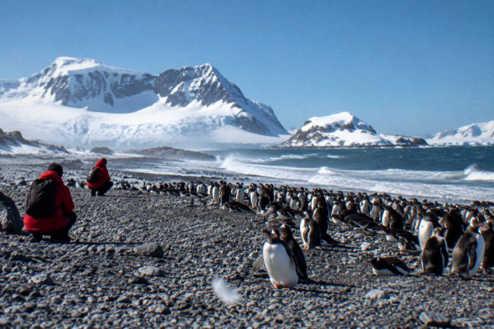 Travellers in red parkas watching penguins from a distance at a landing site
