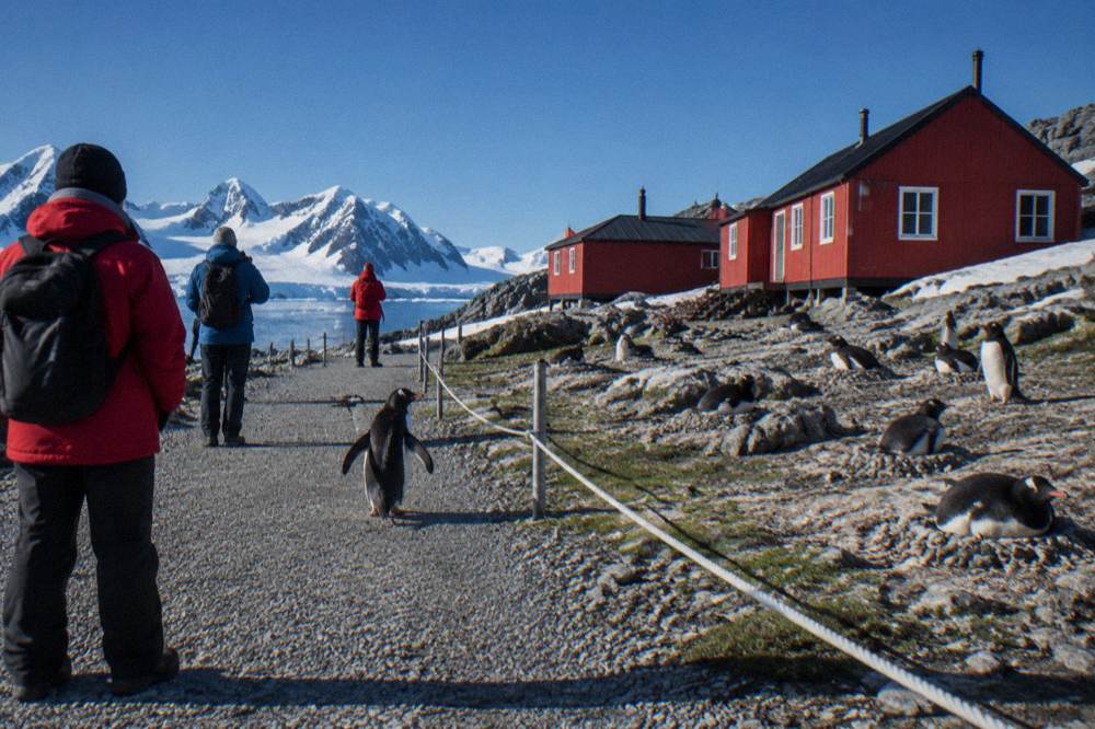 Visitors in parkas standing quietly at a respectful distance from a penguin colony on a snowy beach