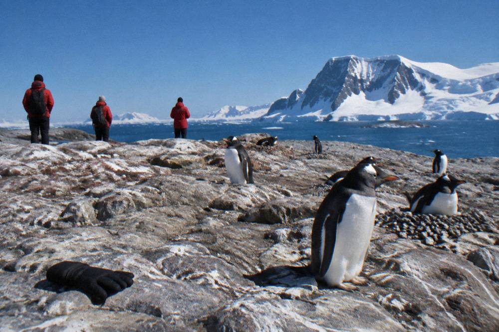 Passengers in red parkas watching penguins from a rocky Antarctic shoreline