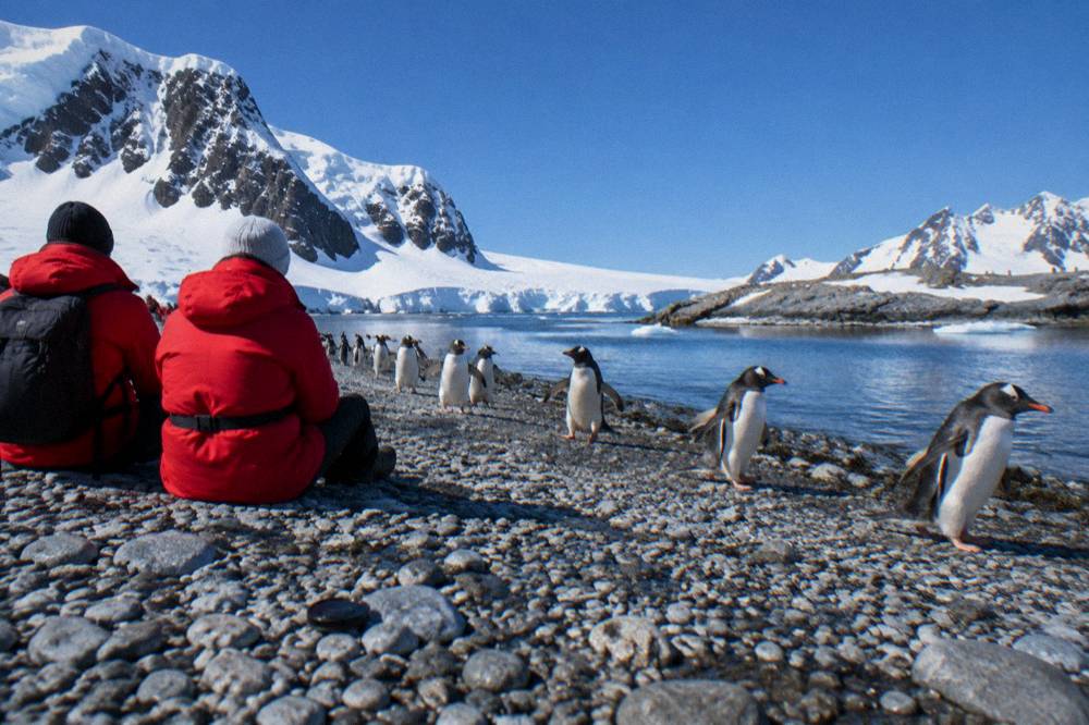 Guests in red parkas watching penguins from a rocky Antarctic shoreline
