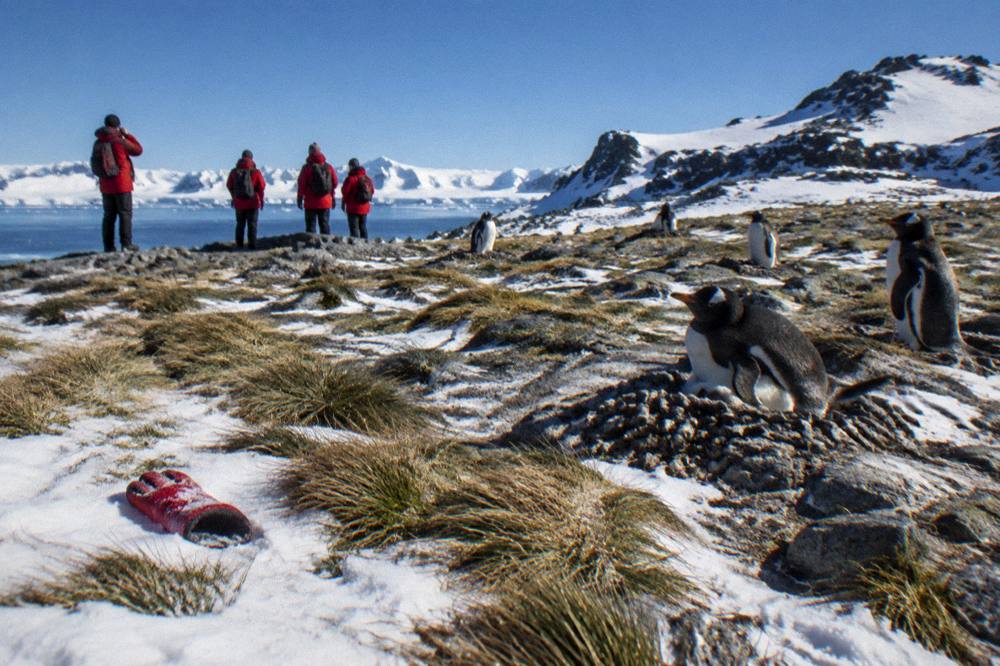 Passengers in red expedition parkas watching penguins from a distance on a rocky shoreline