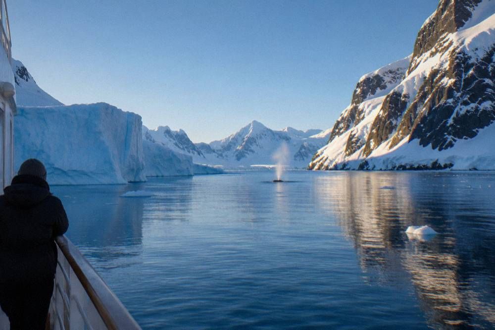 Tall blue icebergs and snow-covered mountains seen across calm polar water