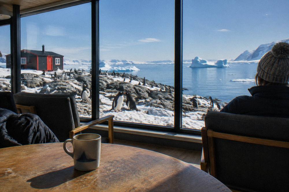 Expedition ship lounge with panoramic windows overlooking calm polar water