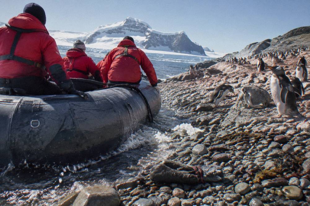 Zodiacs carrying passengers toward a rocky Antarctic landing site with penguins on the shore