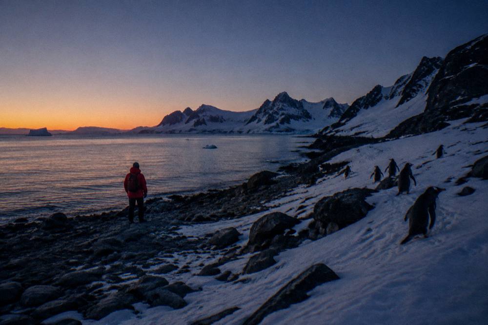 A traveller in a red parka watching penguins on a rocky Antarctic beach at dusk