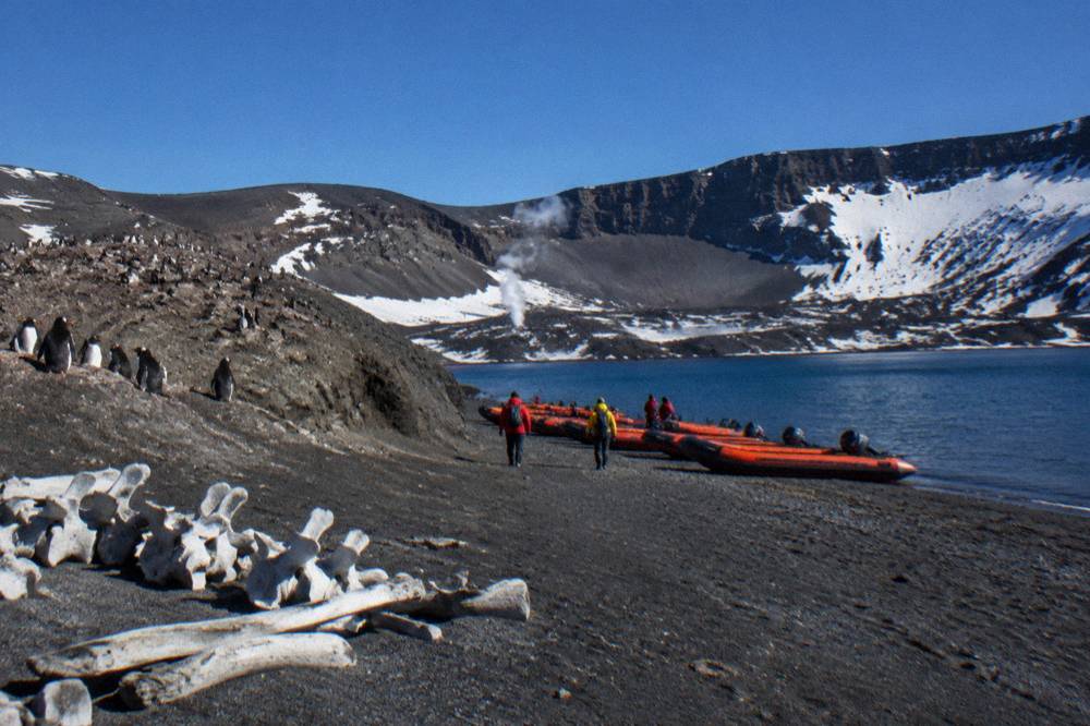 Zodiacs lined up on a black-sand Antarctic beach below a penguin colony