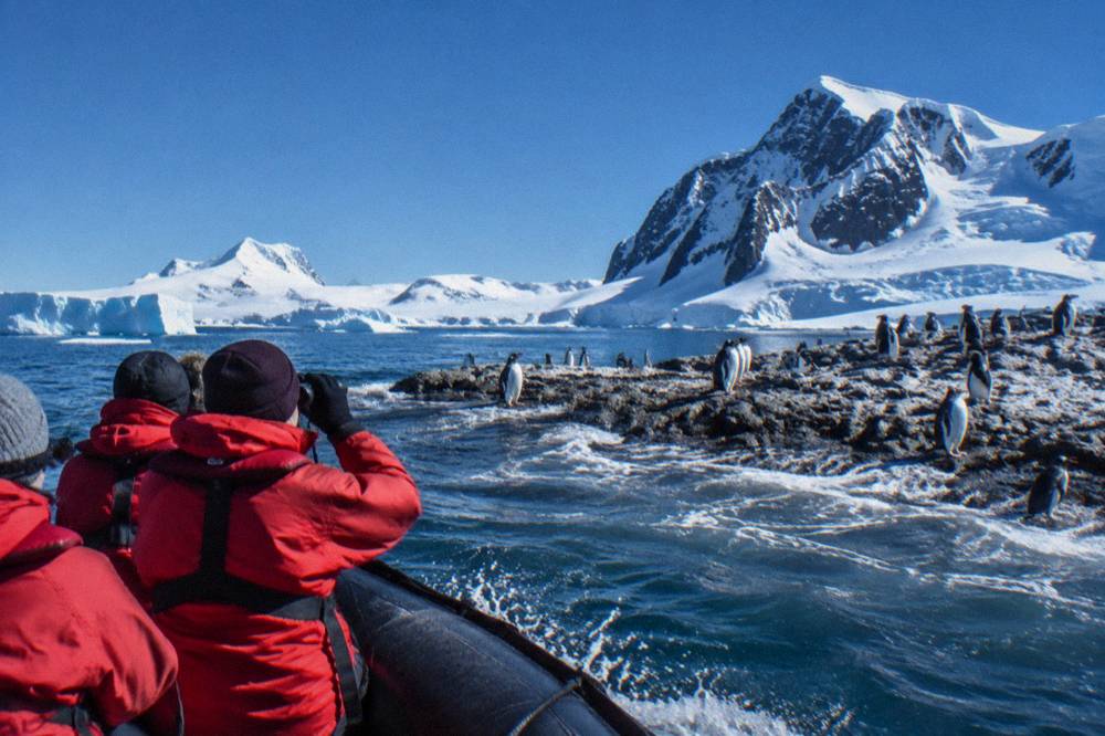 Guests in red expedition parkas watching penguins from a Zodiac beside an ice-covered shore