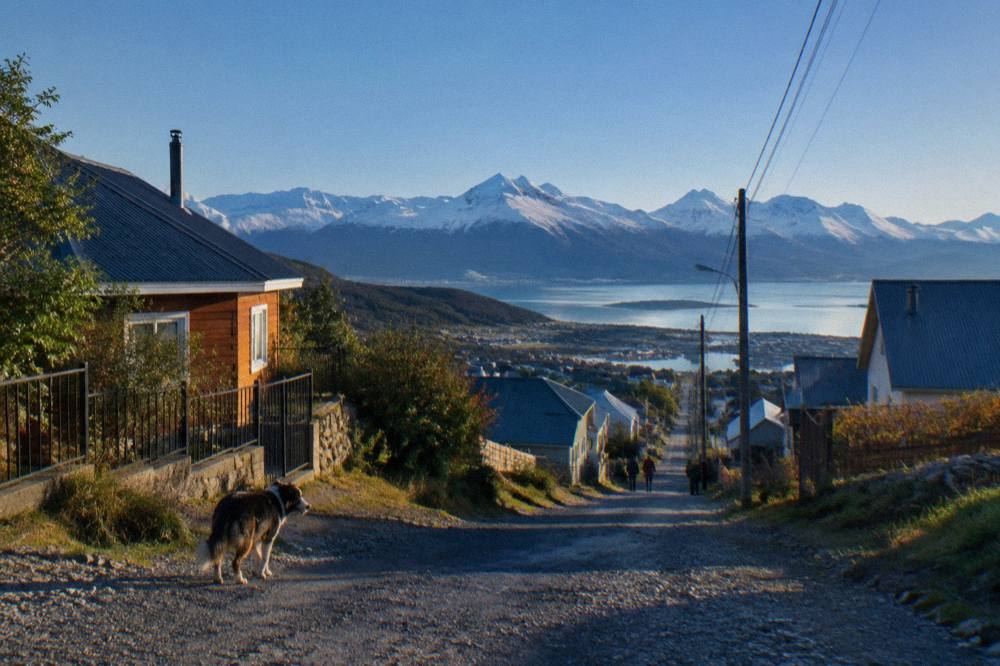 Low residential streets climbing a hillside toward snowy mountains above the Beagle Channel